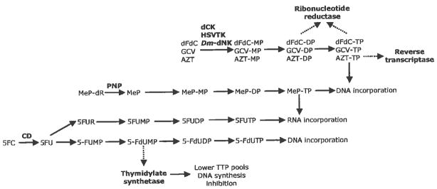 Fig. 2