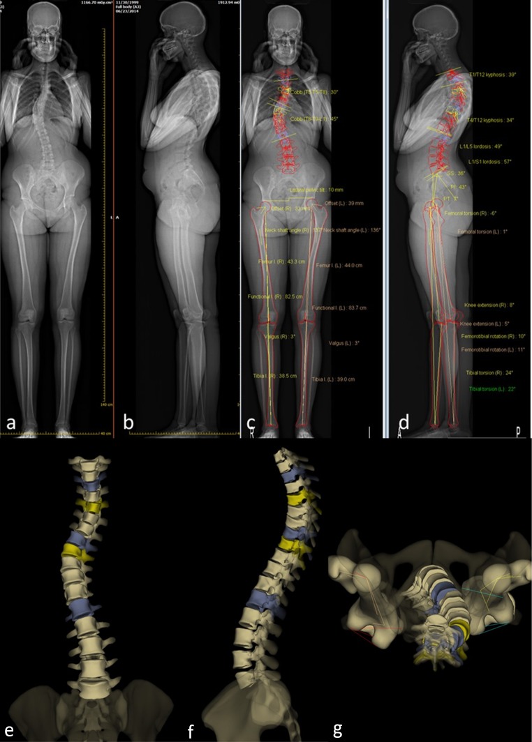 Fig. 2