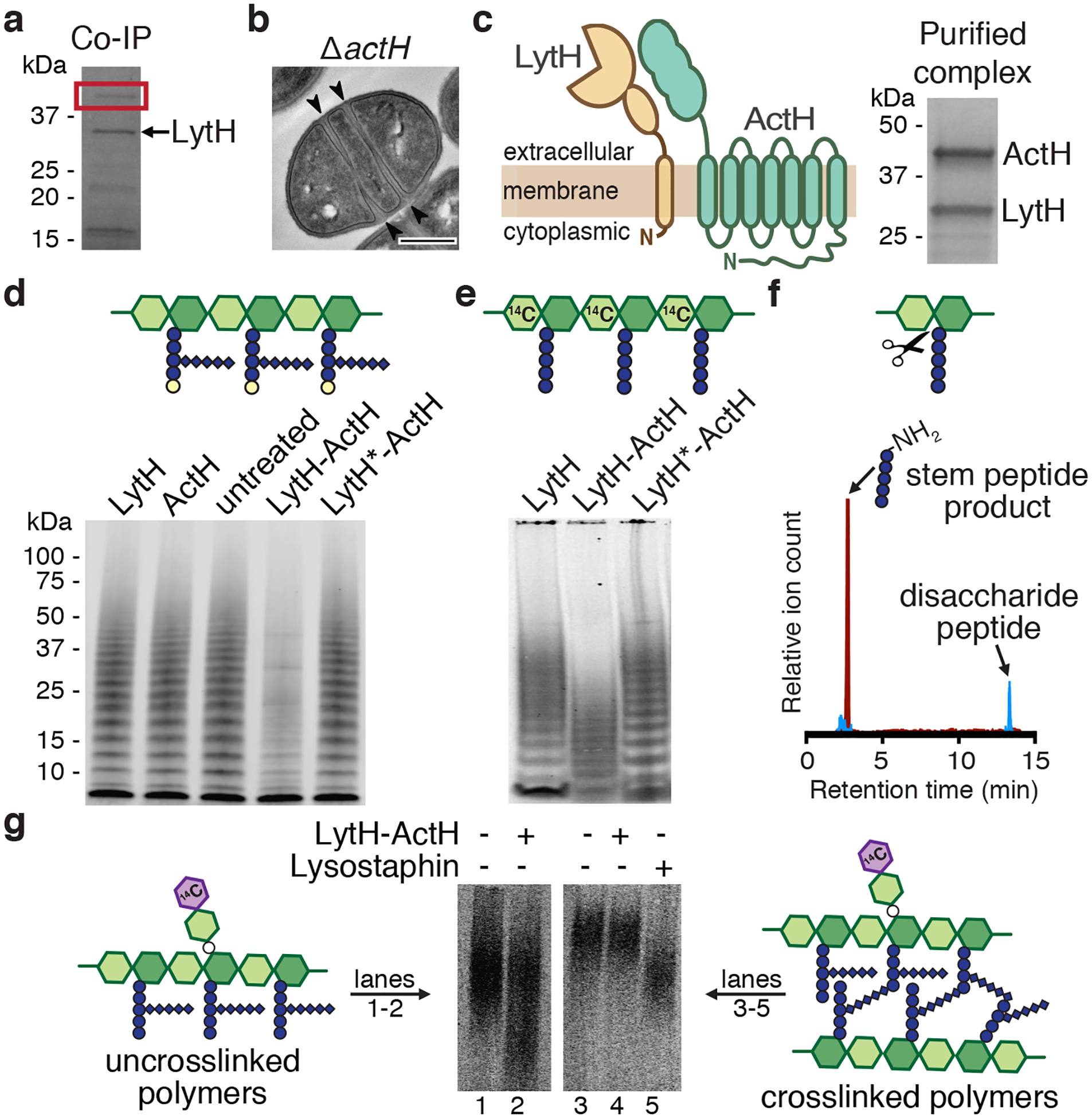 Figure 2: