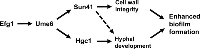 Fig 8