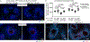 Extended Data Figure 8.