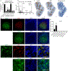 Extended Data Figure 6.