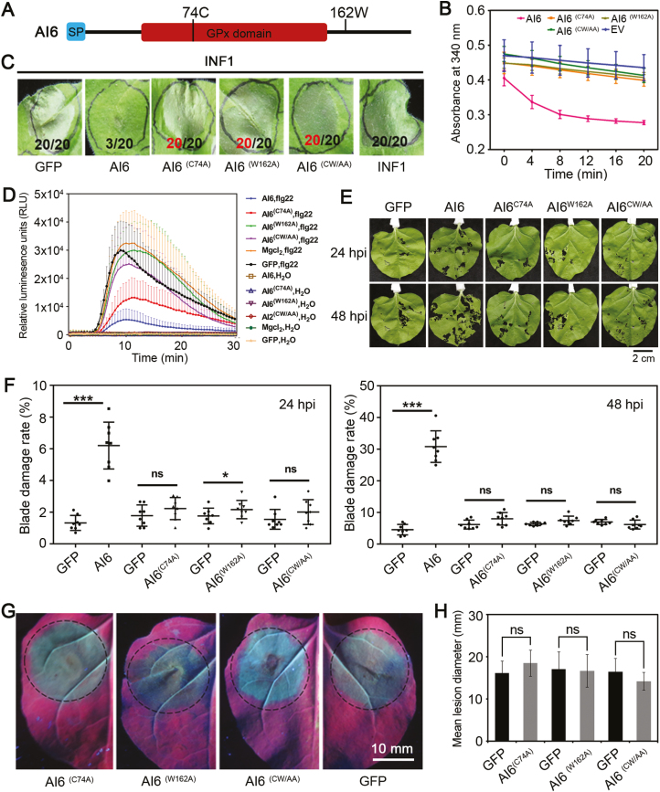 Fig. 8.