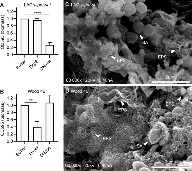 Figure 1—figure supplement 1.