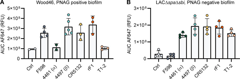 Figure 5—figure supplement 2.