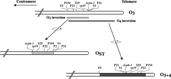 Figure 1.—