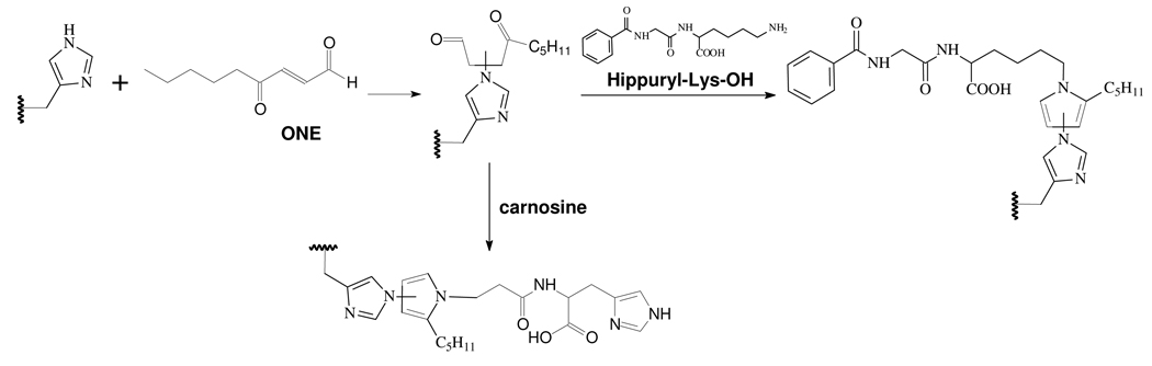 Scheme 3