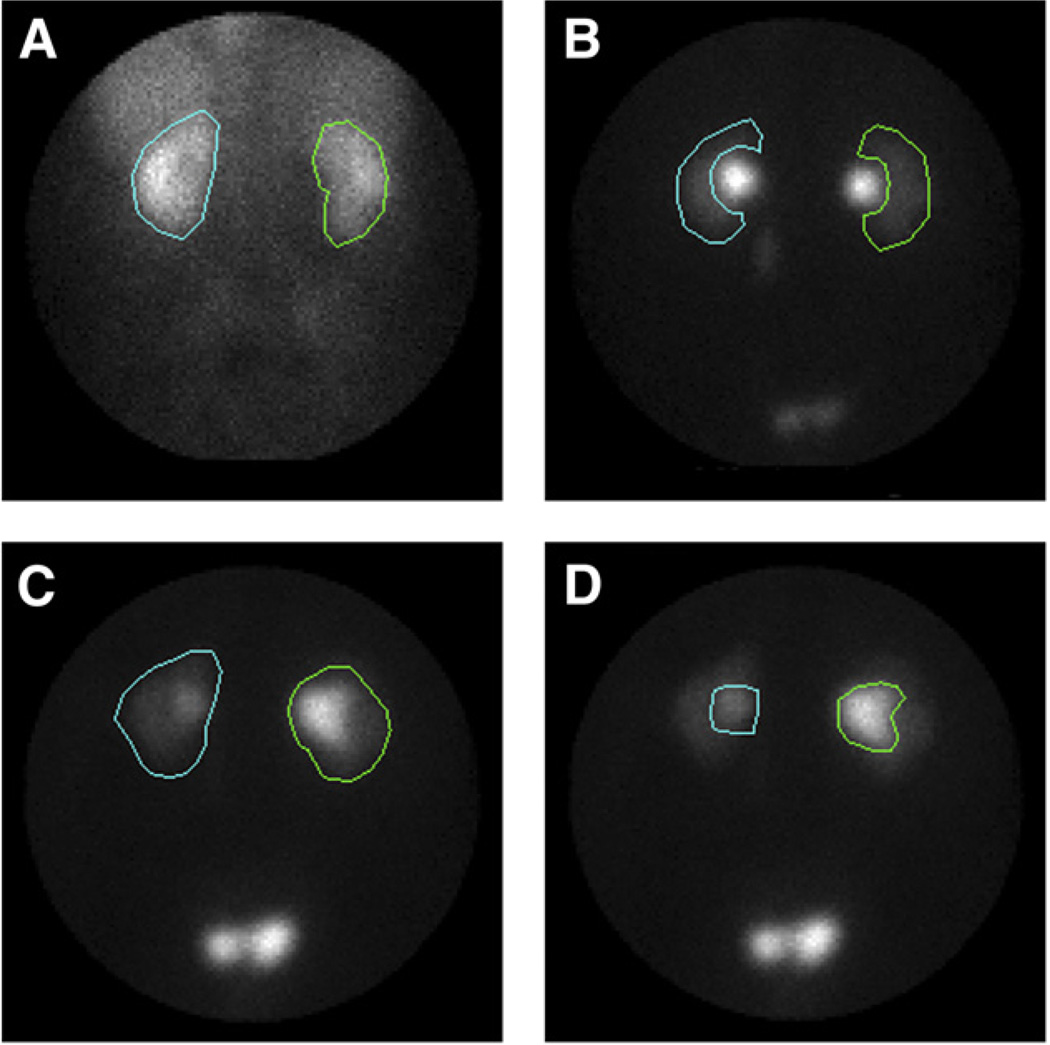 FIGURE 3