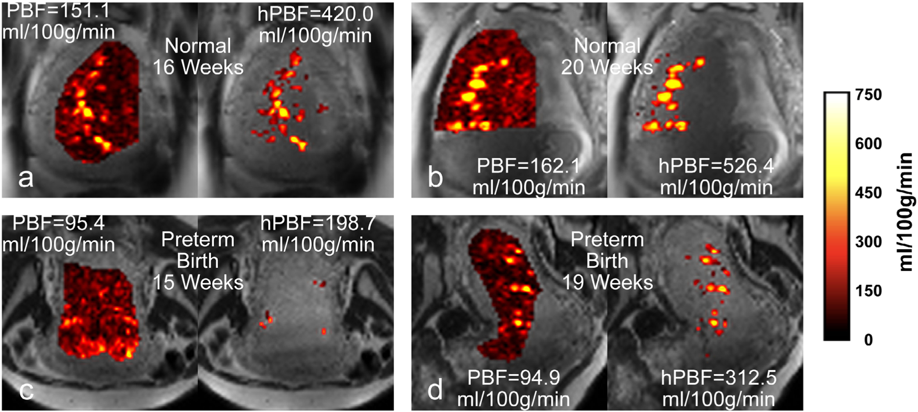 FIGURE 5: