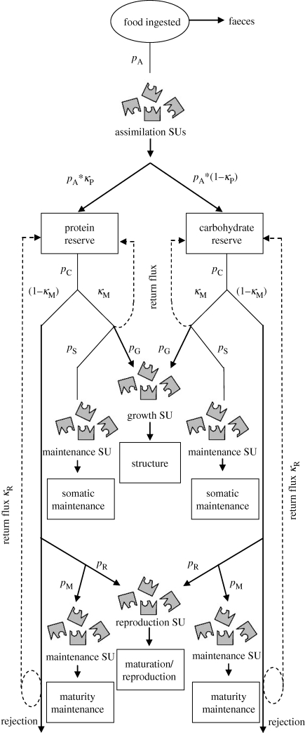 Figure 4.