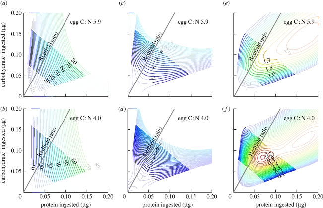 Figure 5.