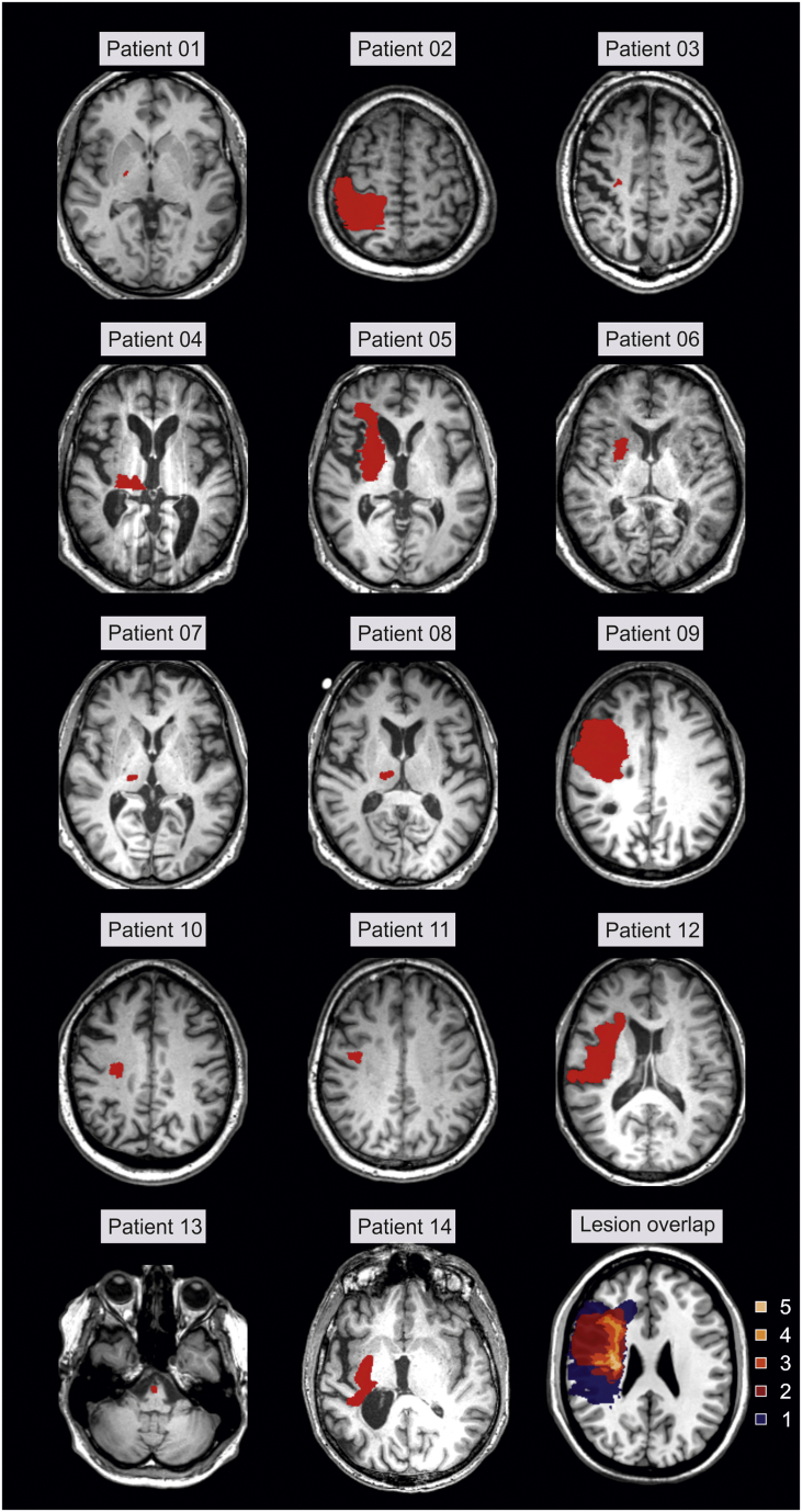 Supplementary Fig. S1