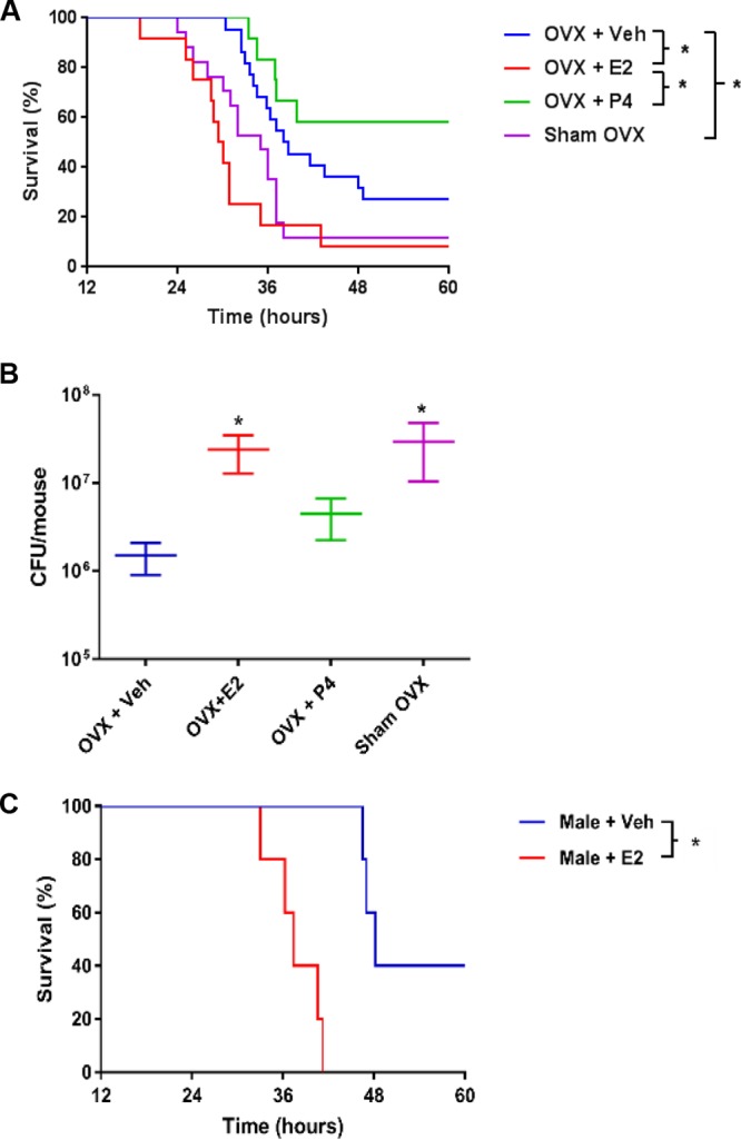 FIG 2