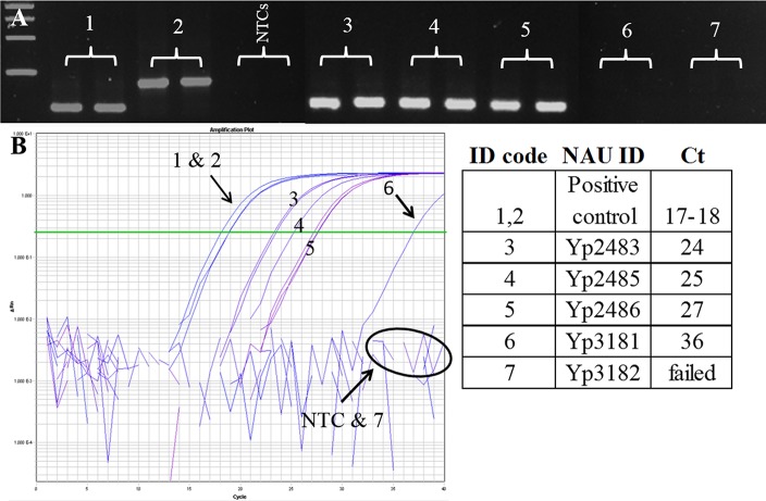 Fig 4