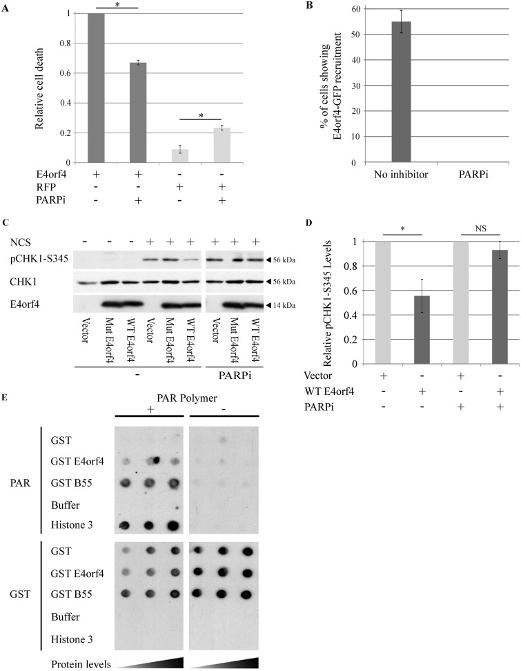 FIG 11