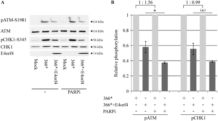 FIG 6