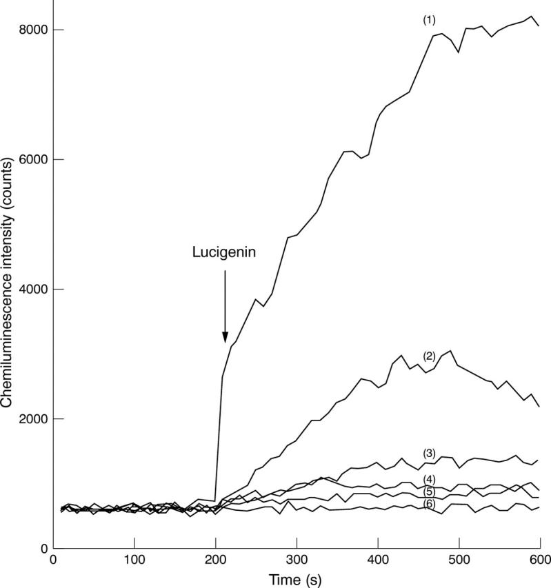 Figure 1  