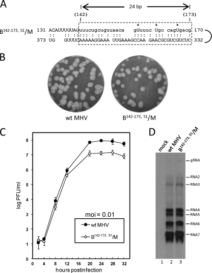 Fig 5