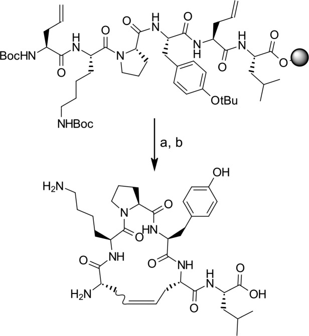 Scheme 1