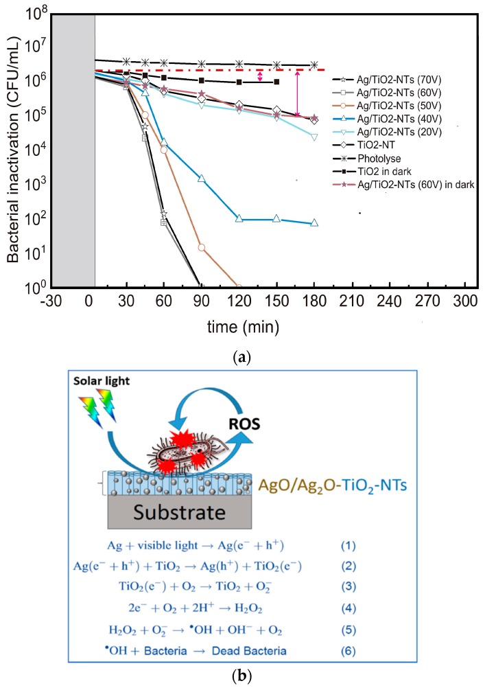 Figure 20