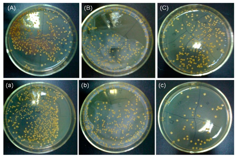 Figure 25