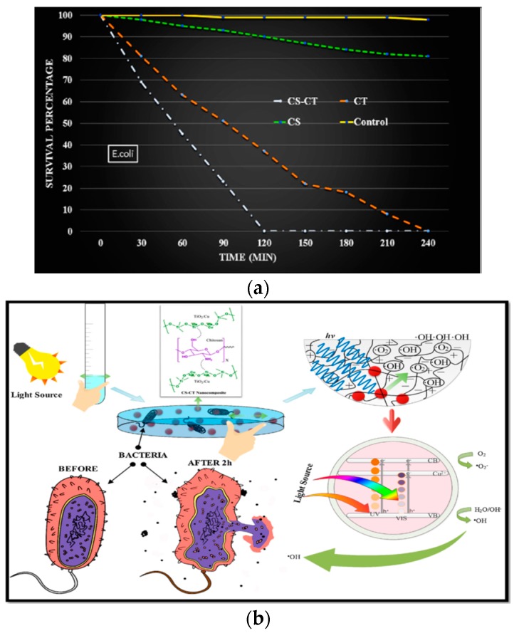 Figure 31