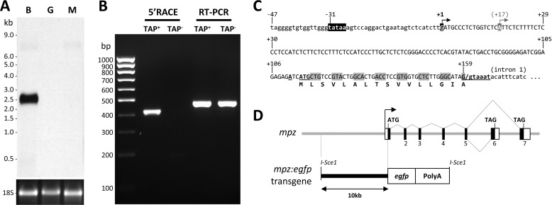 FIGURE 1.