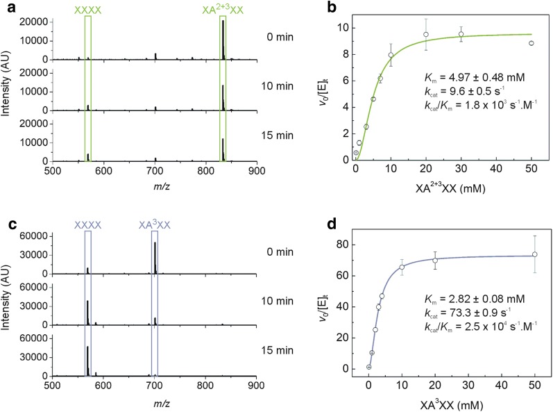 Fig. 4