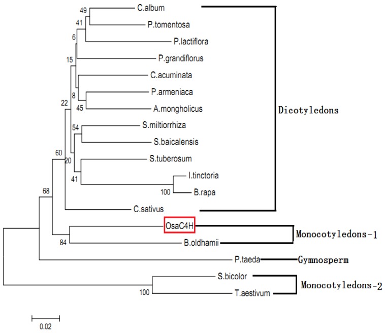 Figure 4