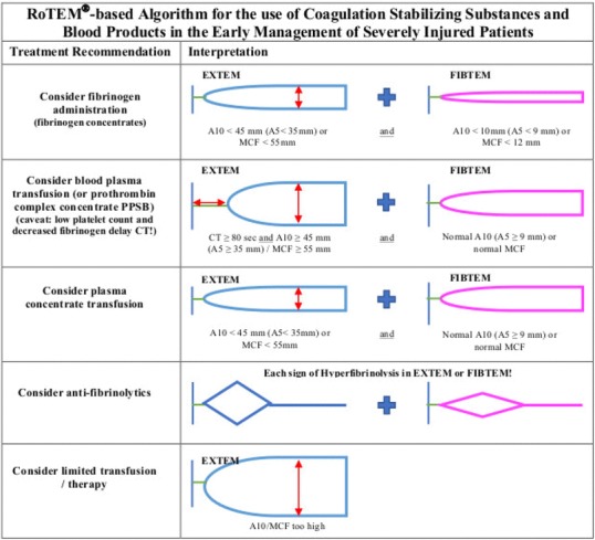 graphic file with name 68_2018_922_Fig7_HTML.jpg