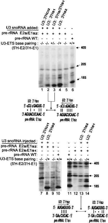 FIGURE 7.