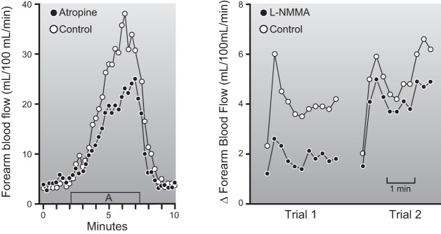 Figure 13.