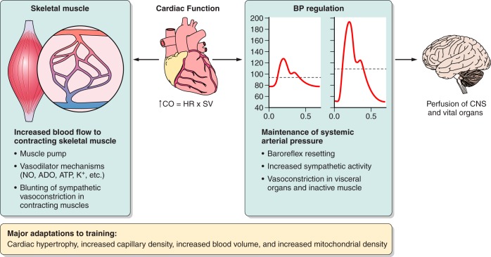 Figure 24.