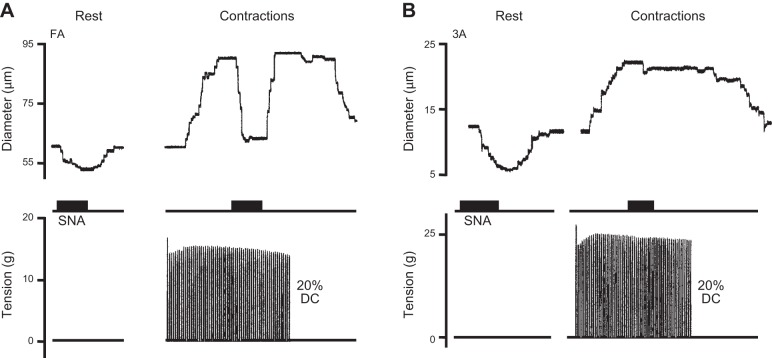 Figure 23.