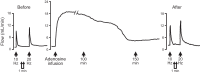Figure 17.