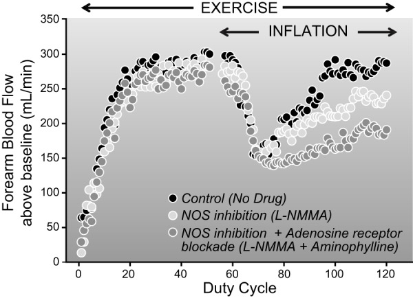 Figure 20.