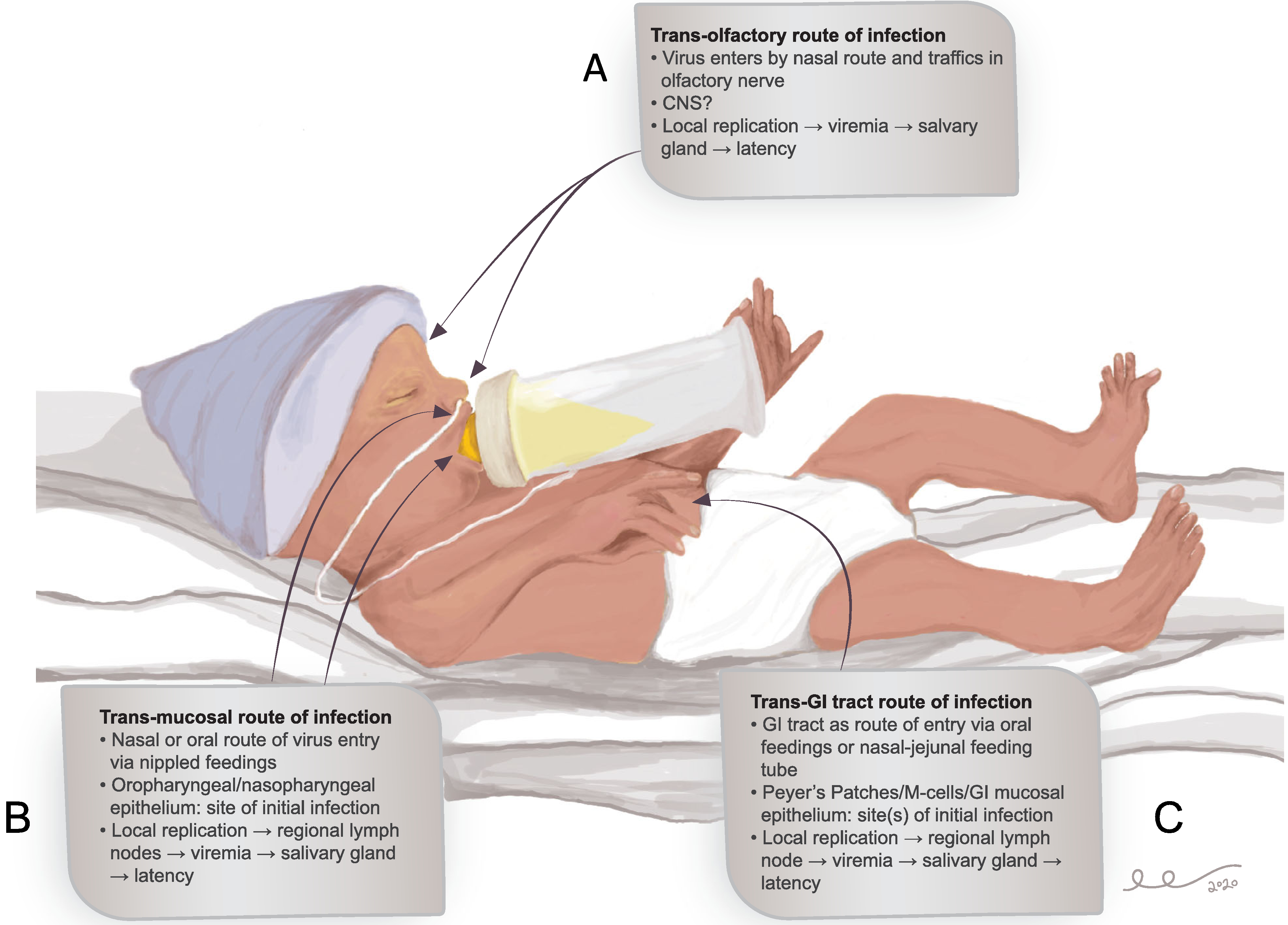 FIGURE 1