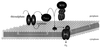 FIG. 7
