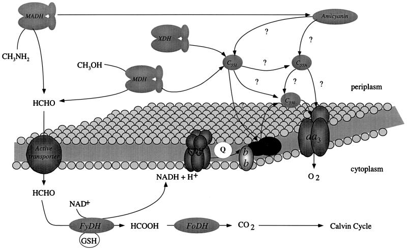 FIG. 5