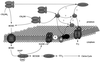 FIG. 5