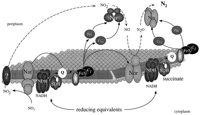 FIG. 3