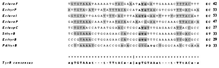 FIG. 8