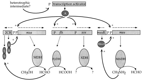 FIG. 6