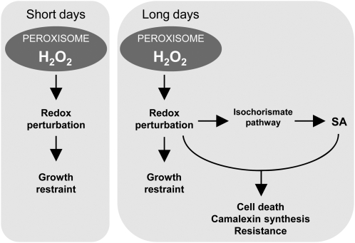 Figure 10.