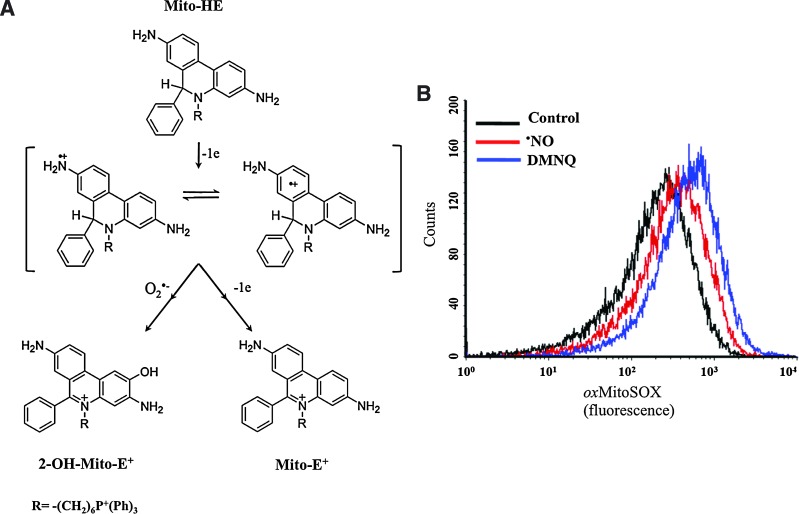 FIG. 3.