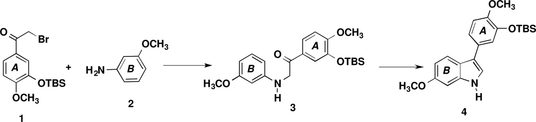 Scheme 1