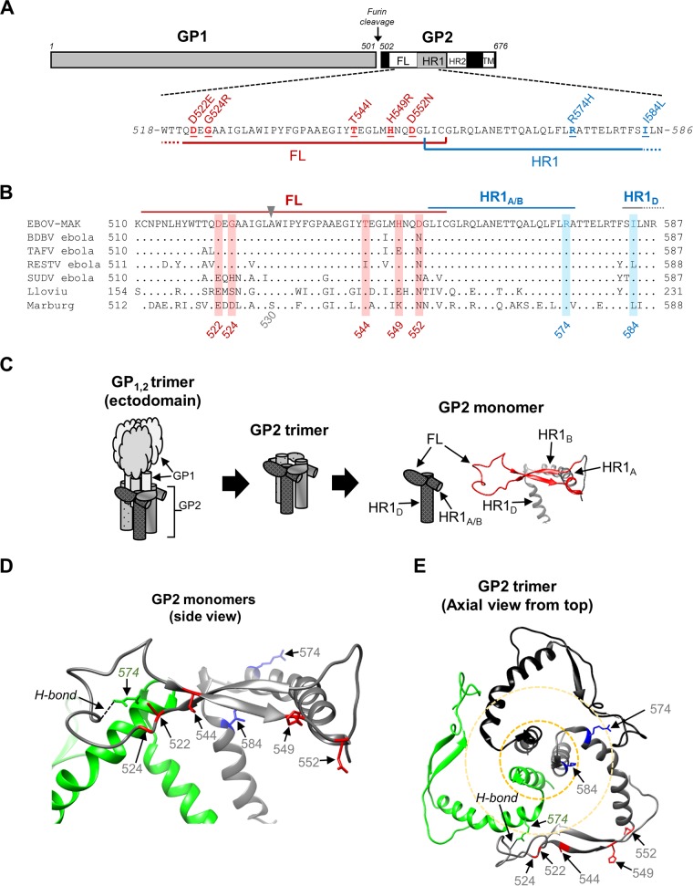 FIG 3