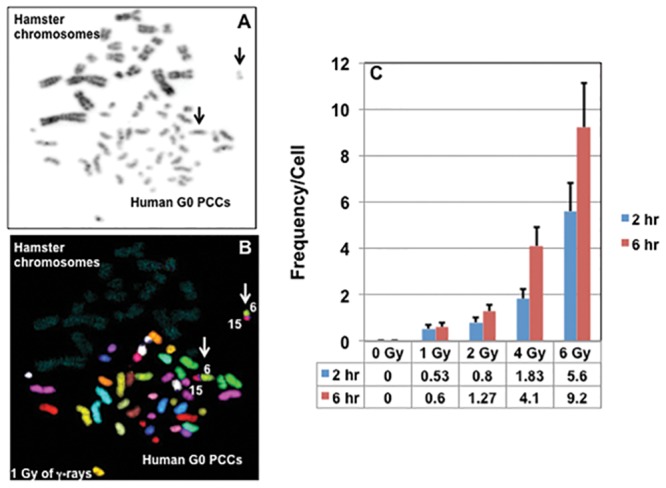 Fig 3