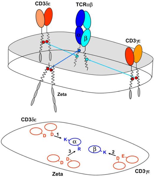 Fig. 5