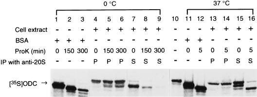 FIG. 8